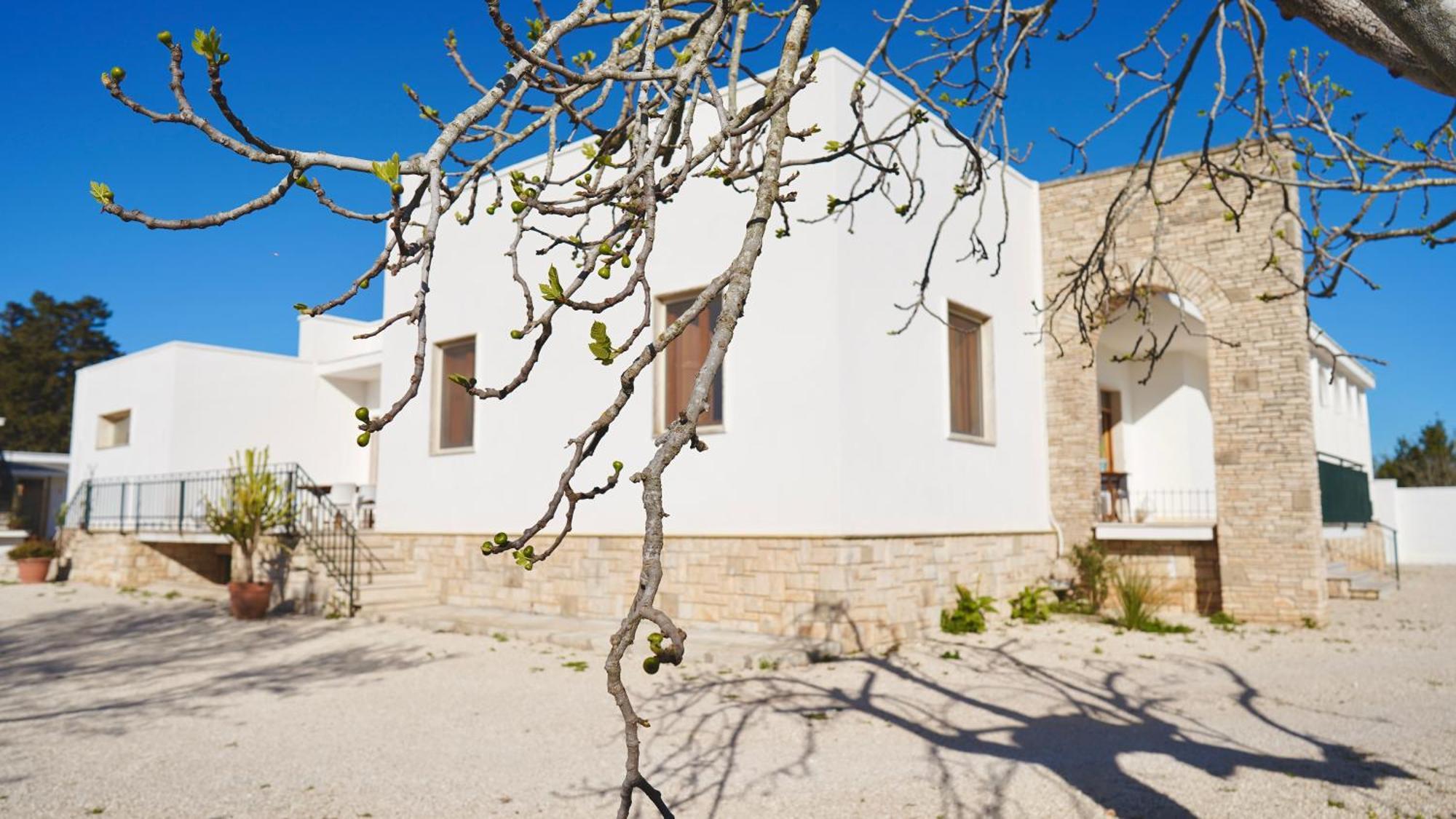 Villa Mia San Ligorio Eksteriør bilde